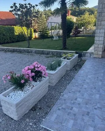 Tanja